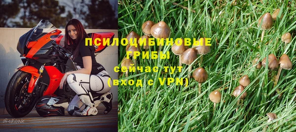 первитин Беломорск